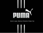 PUMA analysis